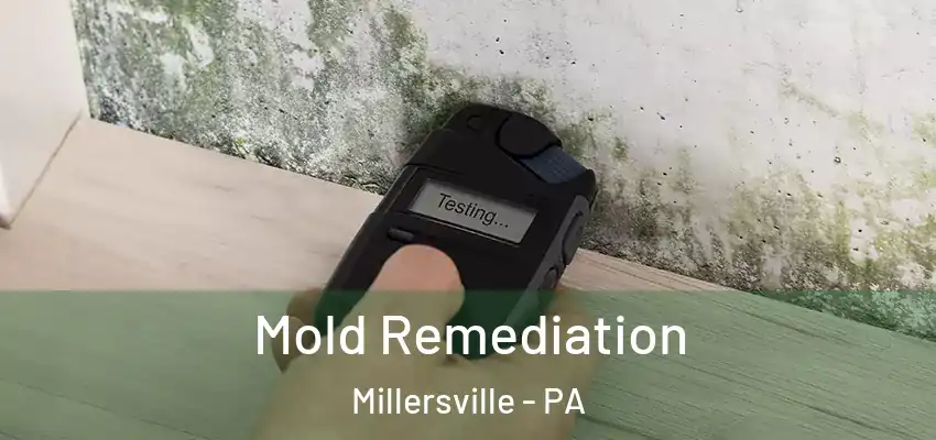 Mold Remediation Millersville - PA