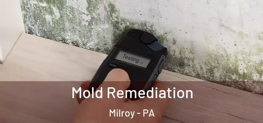  Mold Remediation Milroy - PA