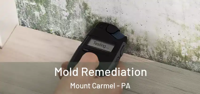 Mold Remediation Mount Carmel - PA