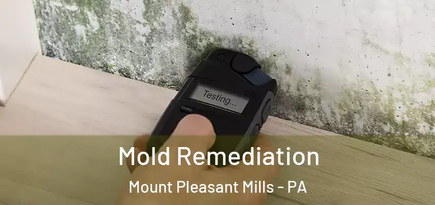 Mold Remediation Mount Pleasant Mills - PA