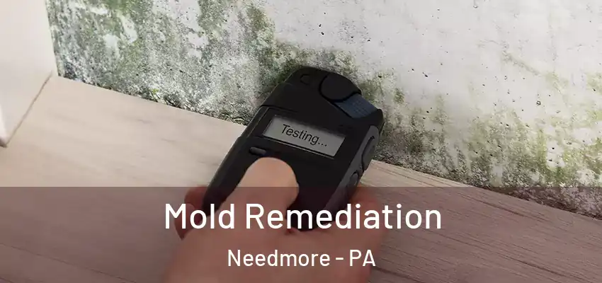  Mold Remediation Needmore - PA