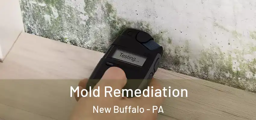  Mold Remediation New Buffalo - PA