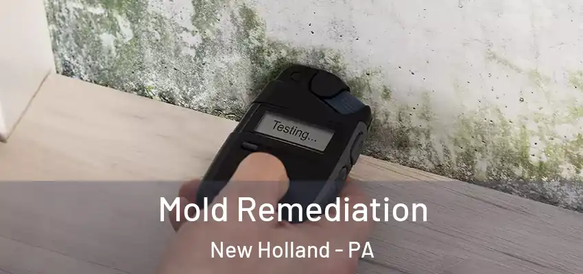  Mold Remediation New Holland - PA
