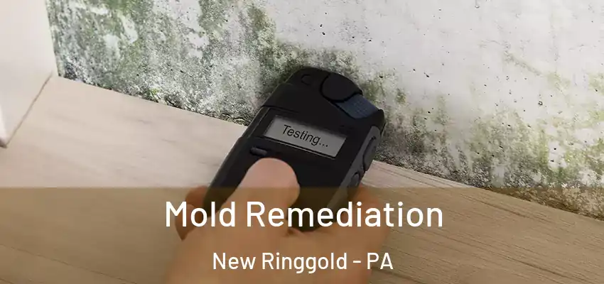 Mold Remediation New Ringgold - PA