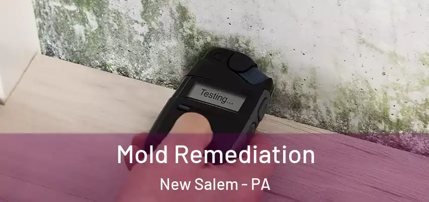 Mold Remediation New Salem - PA