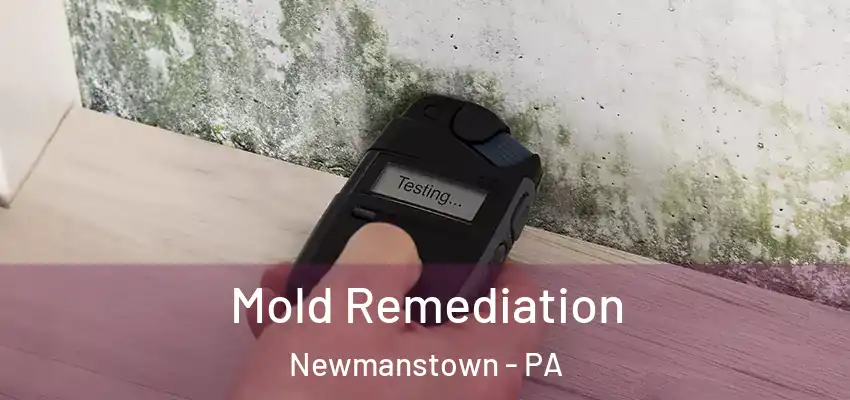  Mold Remediation Newmanstown - PA