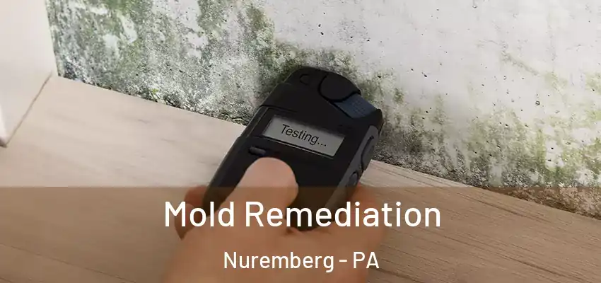Mold Remediation Nuremberg - PA