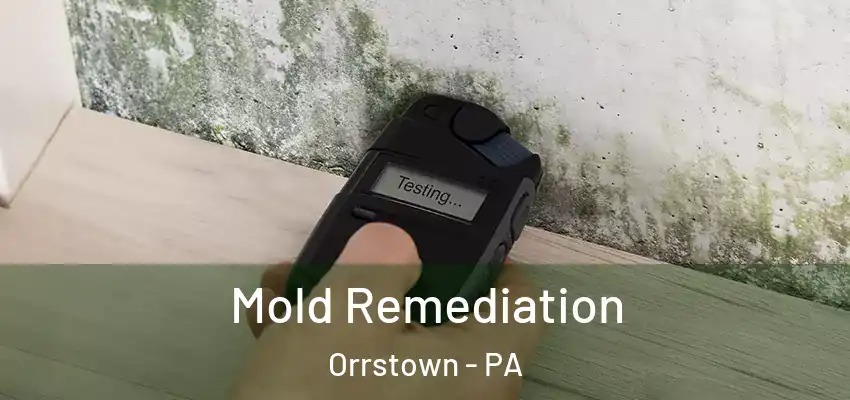 Mold Remediation Orrstown - PA