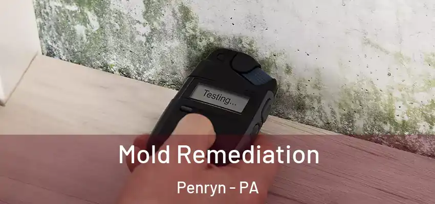  Mold Remediation Penryn - PA
