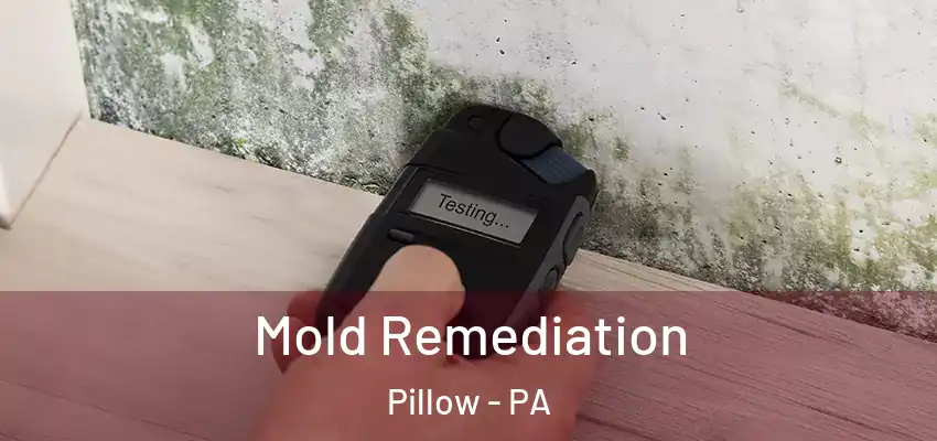  Mold Remediation Pillow - PA