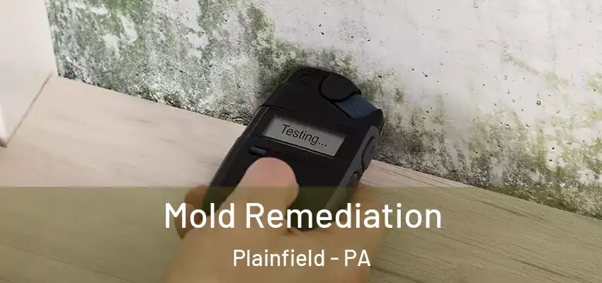  Mold Remediation Plainfield - PA