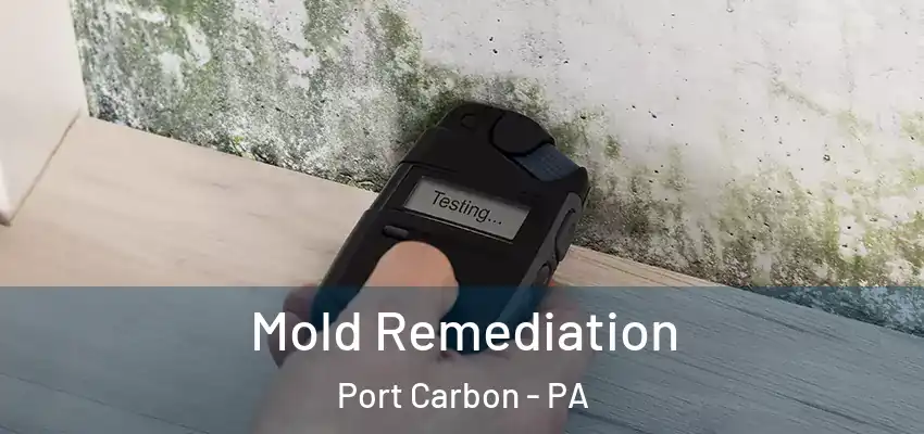 Mold Remediation Port Carbon - PA