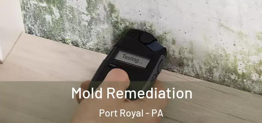 Mold Remediation Port Royal - PA