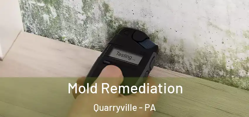  Mold Remediation Quarryville - PA