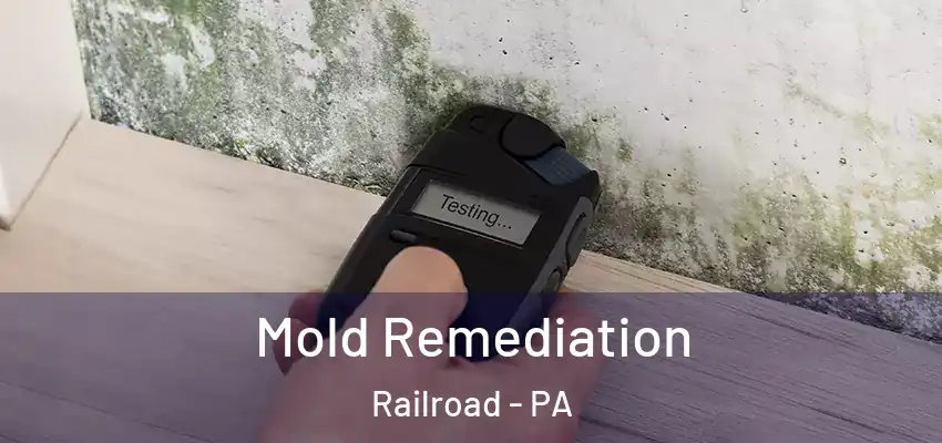  Mold Remediation Railroad - PA