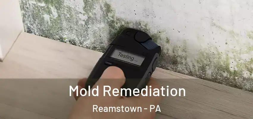 Mold Remediation Reamstown - PA