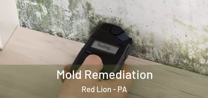  Mold Remediation Red Lion - PA