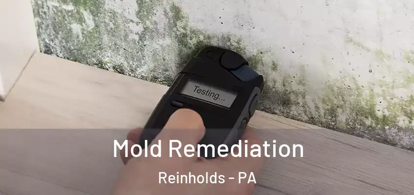 Mold Remediation Reinholds - PA