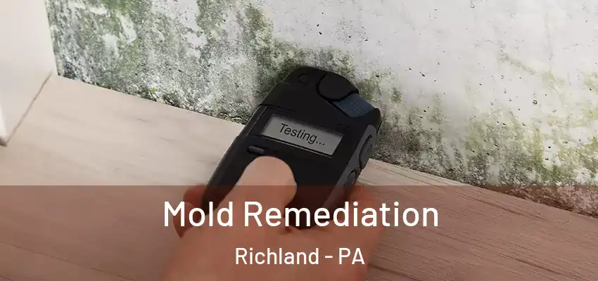  Mold Remediation Richland - PA