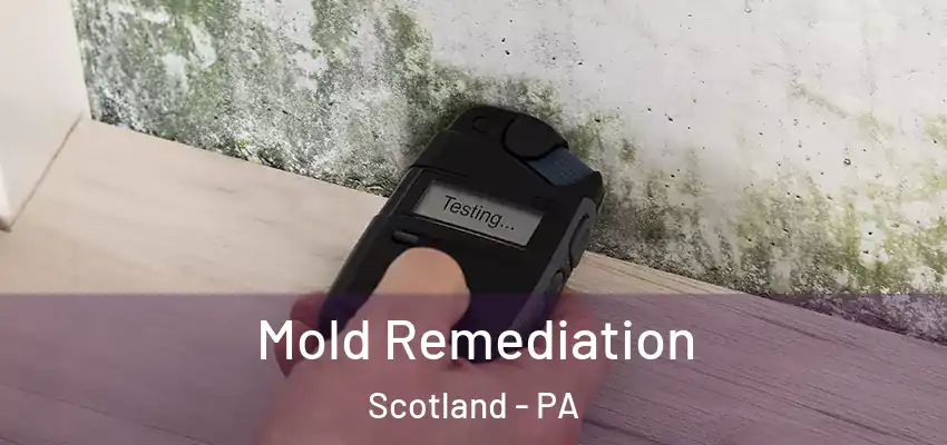 Mold Remediation Scotland - PA