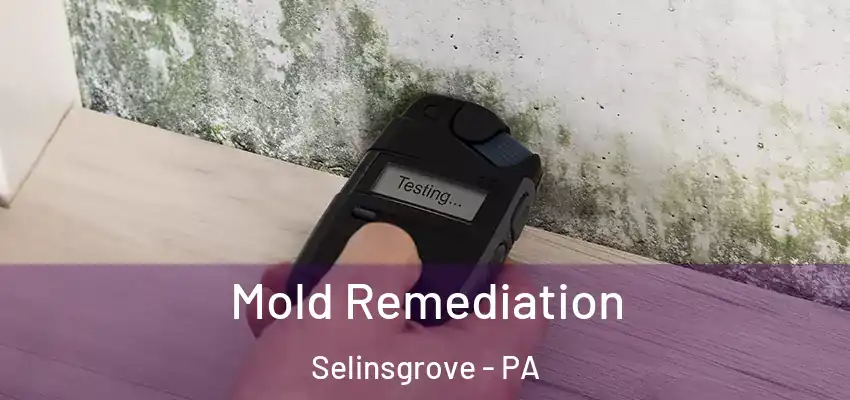 Mold Remediation Selinsgrove - PA