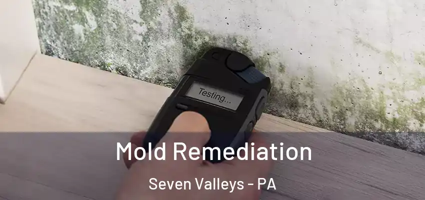  Mold Remediation Seven Valleys - PA