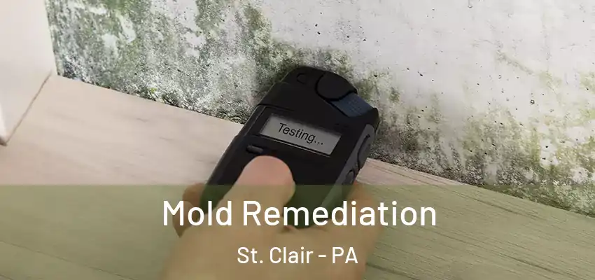 Mold Remediation St. Clair - PA