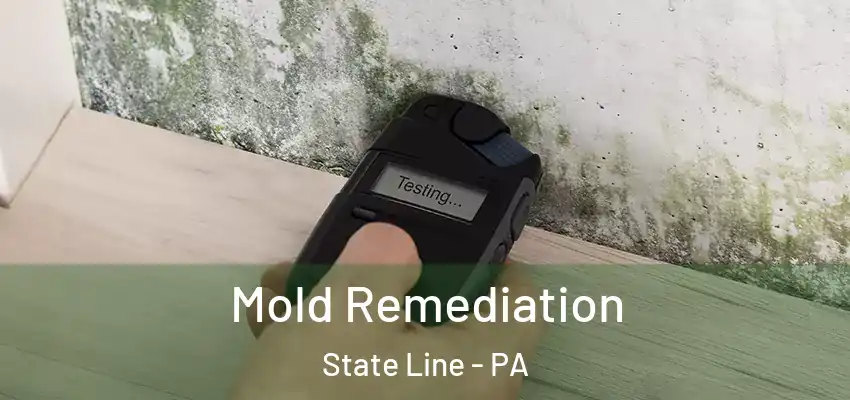 Mold Remediation State Line - PA