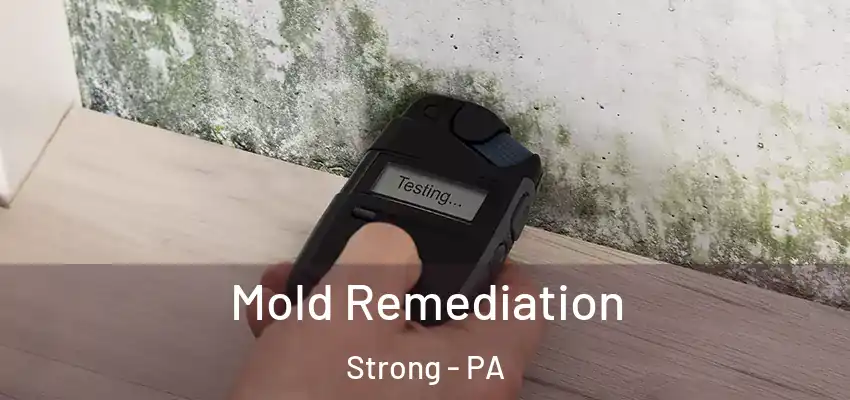 Mold Remediation Strong - PA