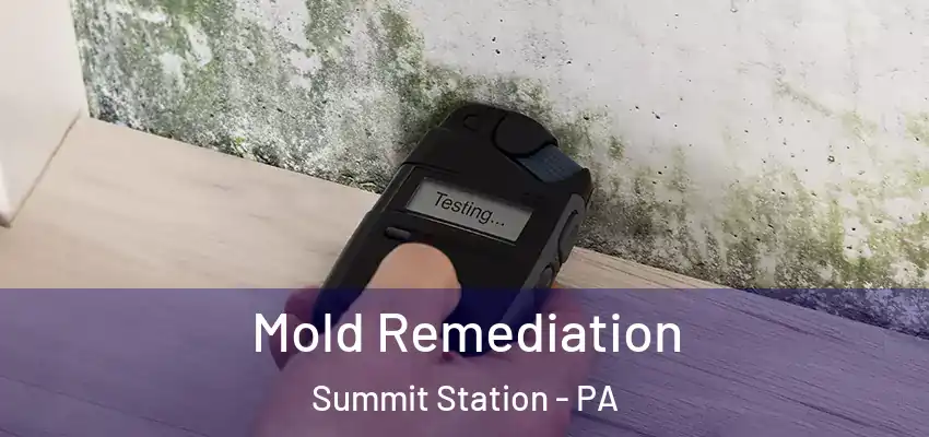 Mold Remediation Summit Station - PA