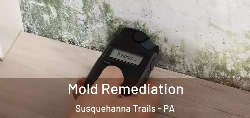 Mold Remediation Susquehanna Trails - PA