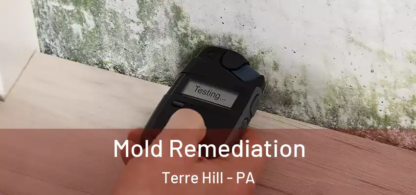  Mold Remediation Terre Hill - PA