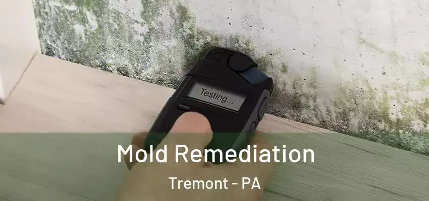  Mold Remediation Tremont - PA