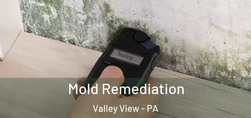 Mold Remediation Valley View - PA