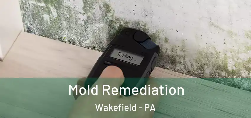  Mold Remediation Wakefield - PA