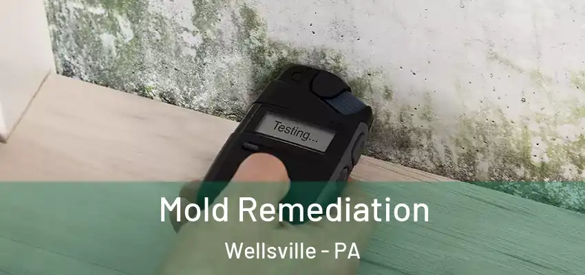  Mold Remediation Wellsville - PA