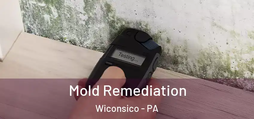  Mold Remediation Wiconsico - PA