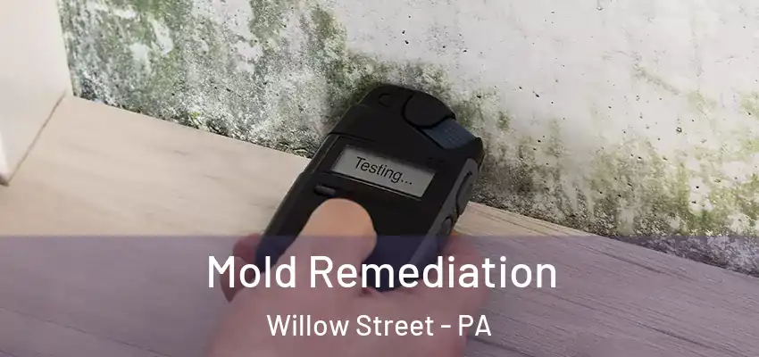  Mold Remediation Willow Street - PA