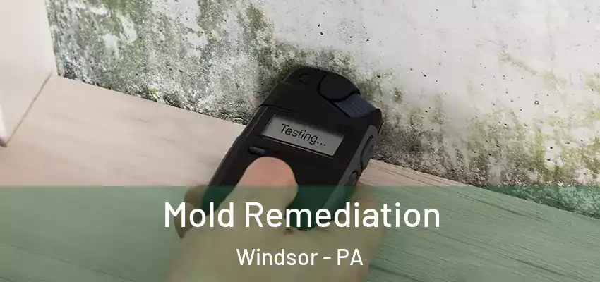 Mold Remediation Windsor - PA