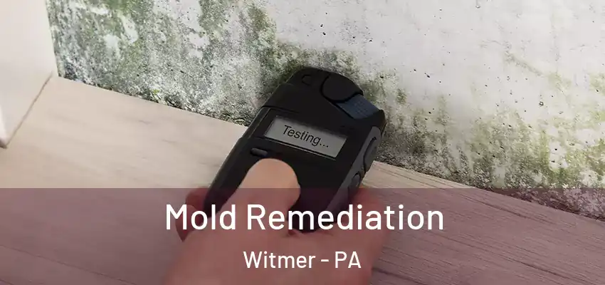 Mold Remediation Witmer - PA