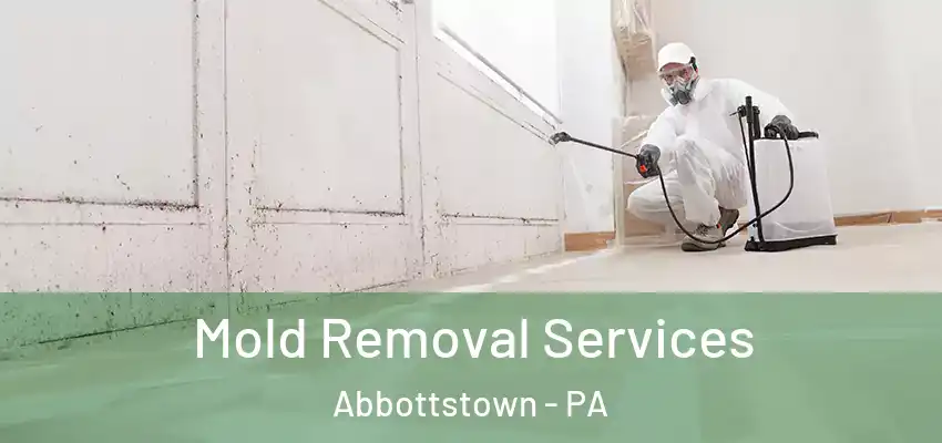  Mold Removal Services Abbottstown - PA
