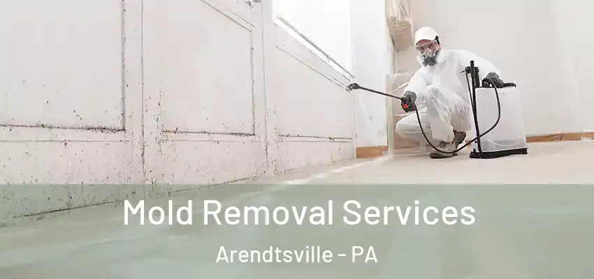 Mold Removal Services Arendtsville - PA