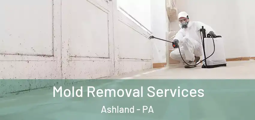 Mold Removal Services Ashland - PA