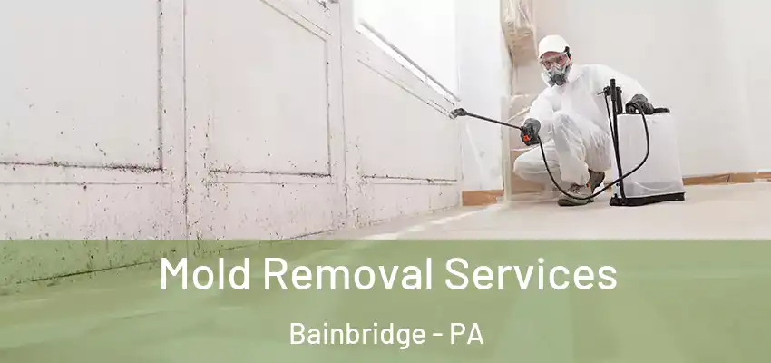  Mold Removal Services Bainbridge - PA