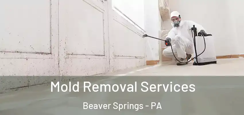  Mold Removal Services Beaver Springs - PA