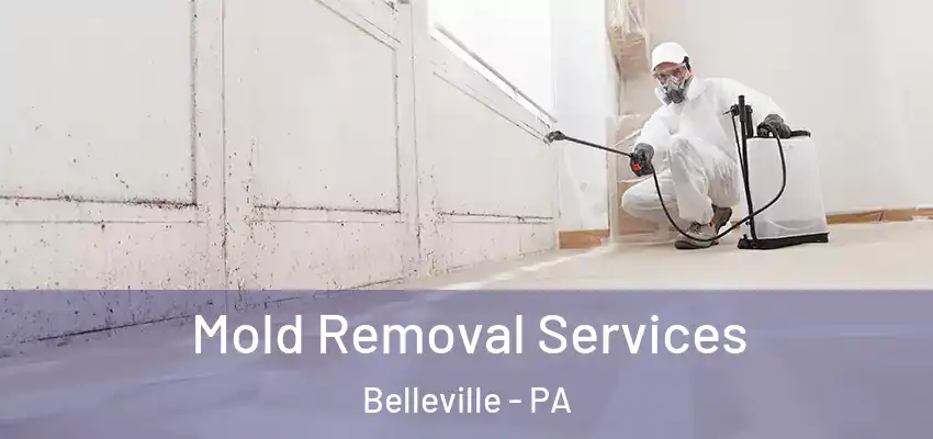  Mold Removal Services Belleville - PA