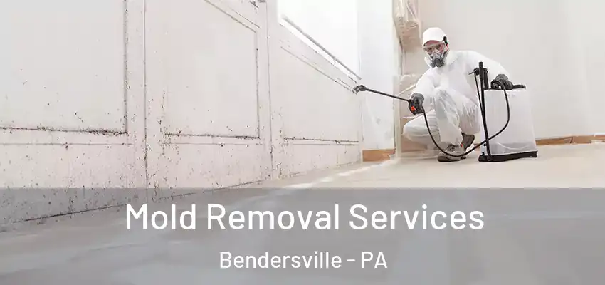 Mold Removal Services Bendersville - PA
