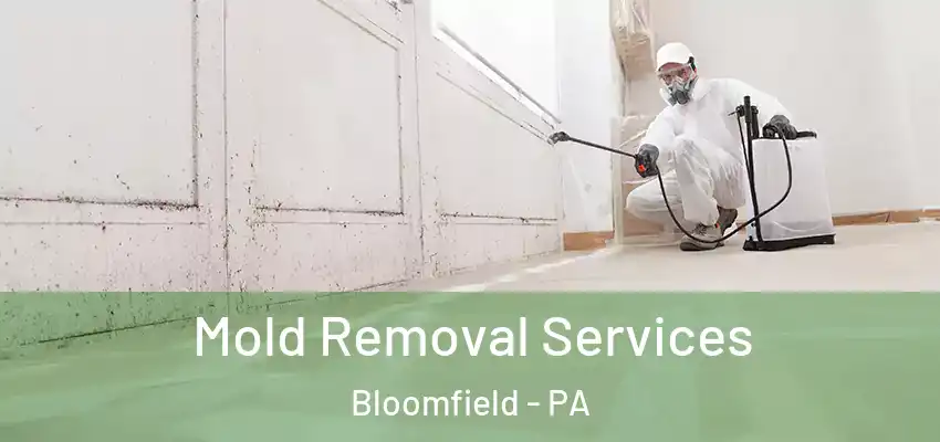  Mold Removal Services Bloomfield - PA