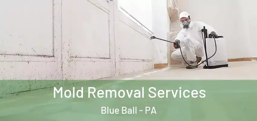 Mold Removal Services Blue Ball - PA