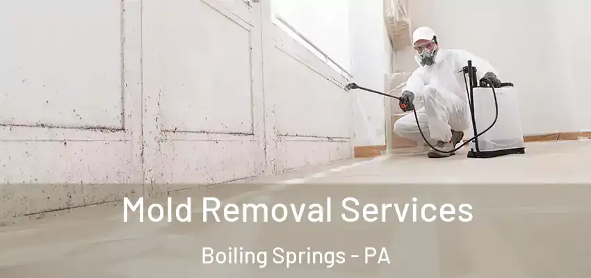  Mold Removal Services Boiling Springs - PA